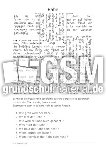 Rabe.pdf